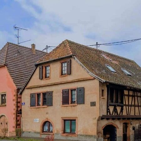 Le Nid D'Hirondelle Lägenhet Gertwiller Exteriör bild